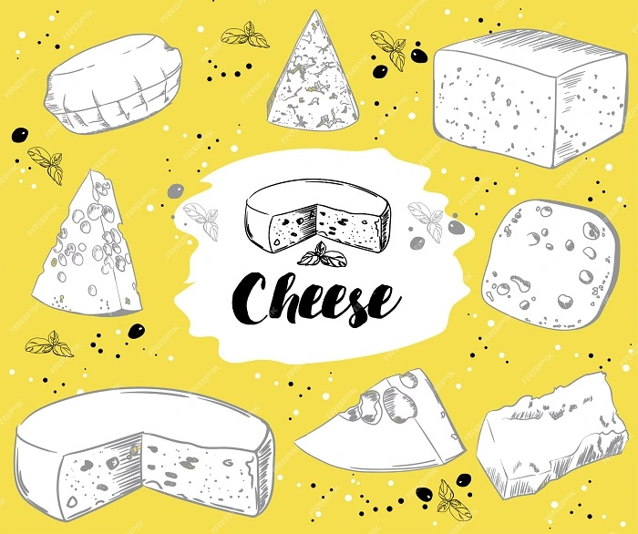 Different Styles for Drawing Costco Cheese