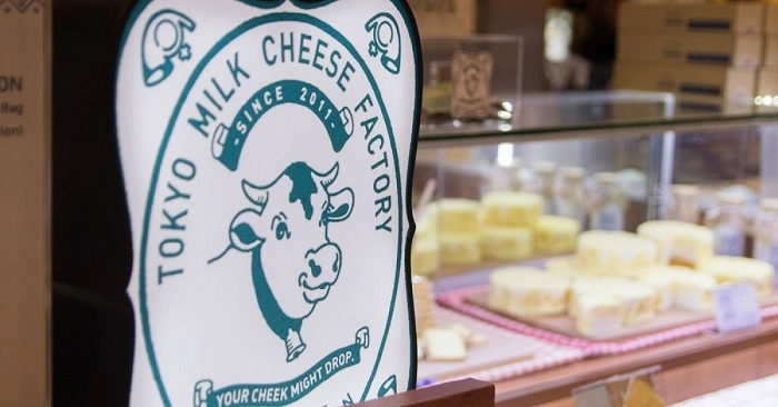 Different Styles for Drawing Tokyo Milk Cheese Factory