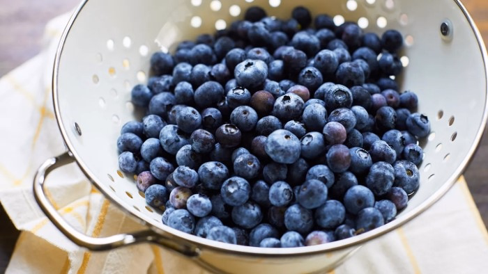 Blueberry A Perfect Addition to Anything