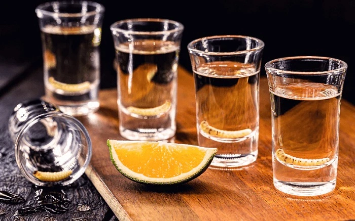 What Is Mezcal